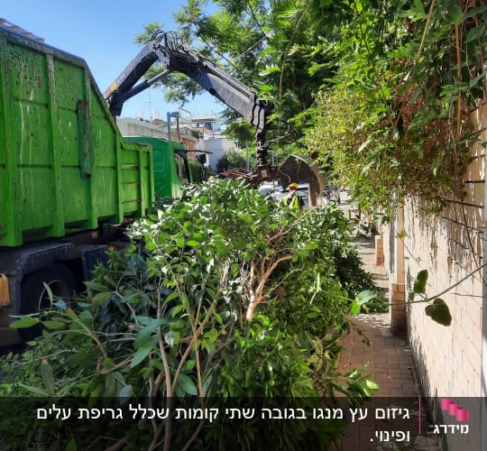 משאית ירוקה עם מנוף גוזמת ענפים גדולים ברחוב